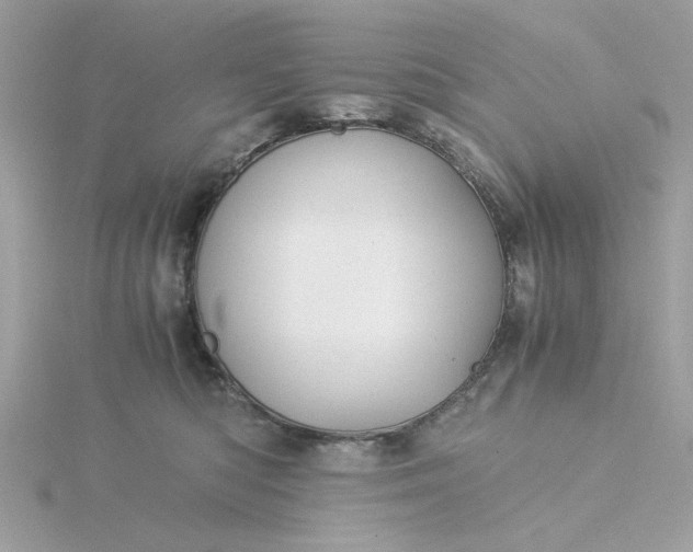 X0000116050422200912041837