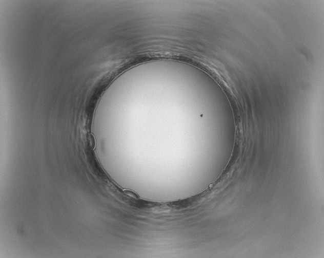 X0000116050423200912041837