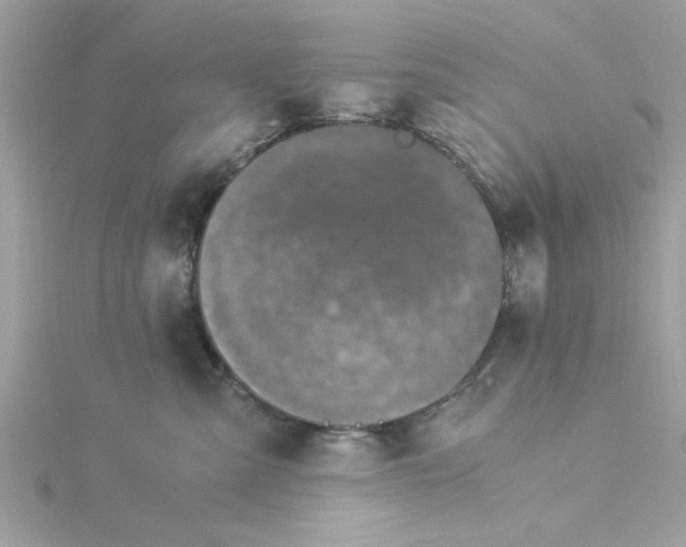 X0000116050427200912041837