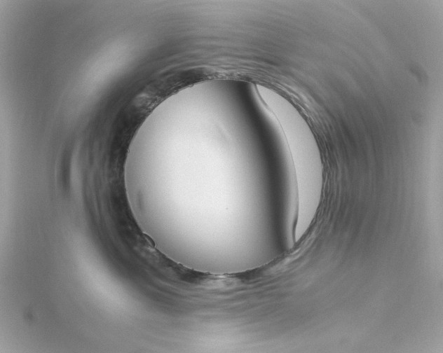 X0000116050429200912041837
