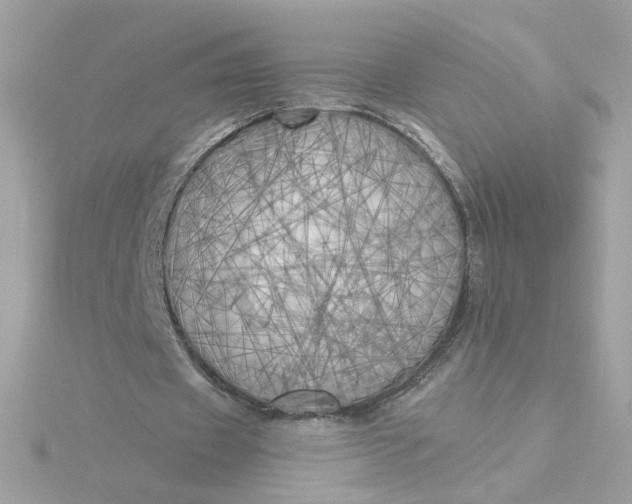 X0000116050433200912041836