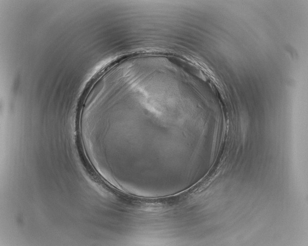 X0000116050438200912041836