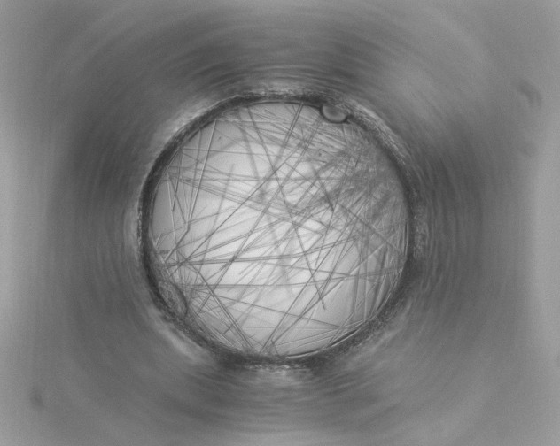 X0000116050439200912041836