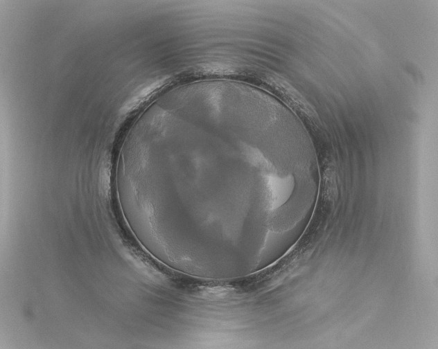 X0000116050446200912041836