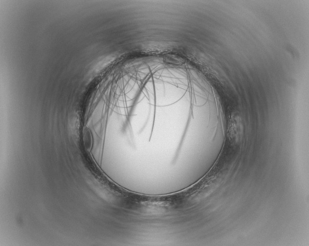 X0000116050448200912041836
