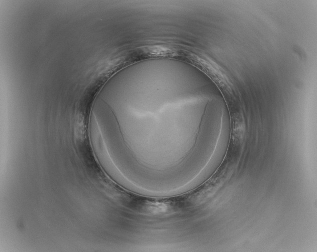 X0000116050469200912041836