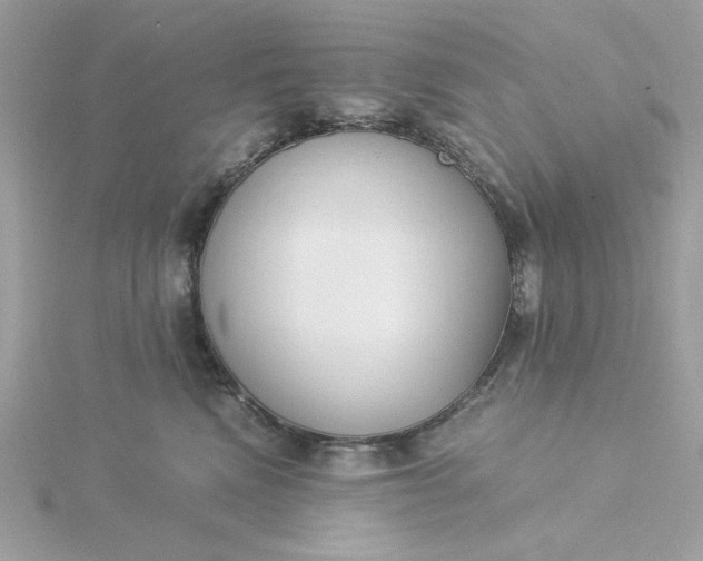 X0000116050472200912041836