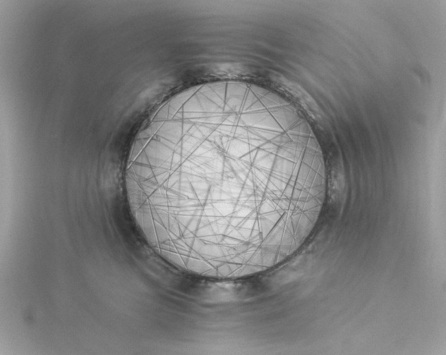X0000116050473200912041836