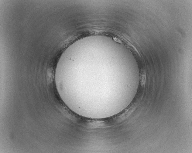 X0000116050476200912041837