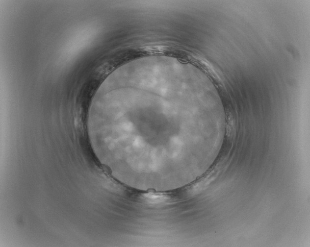X0000116050477200912041837