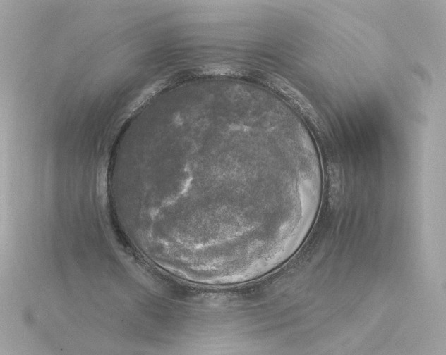 X0000116050482200912041836
