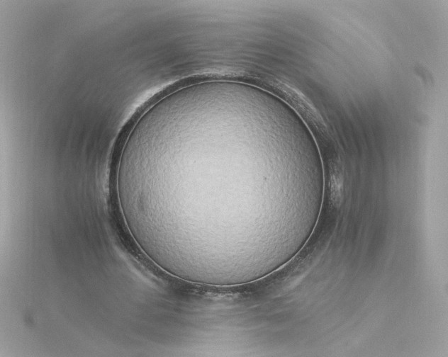 X0000116050484200912041836