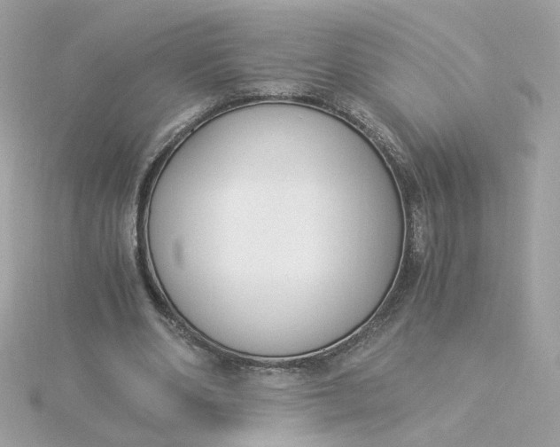 X0000116050486200912041836