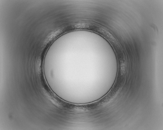 X0000116050490200912041836