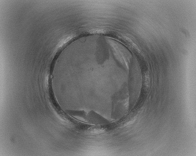 X0000116050491200912041836