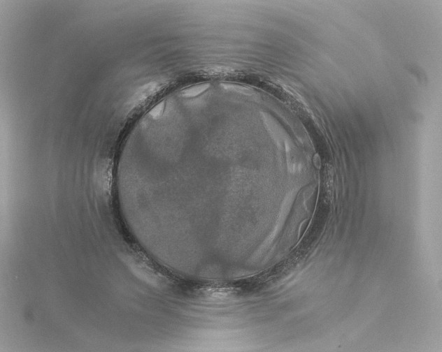 X0000116050495200912041836