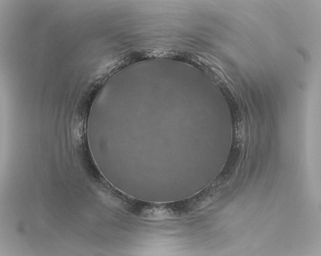 X0000116050503200912041836