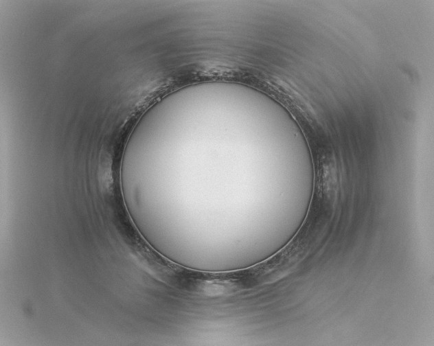 X0000116050508200912041836