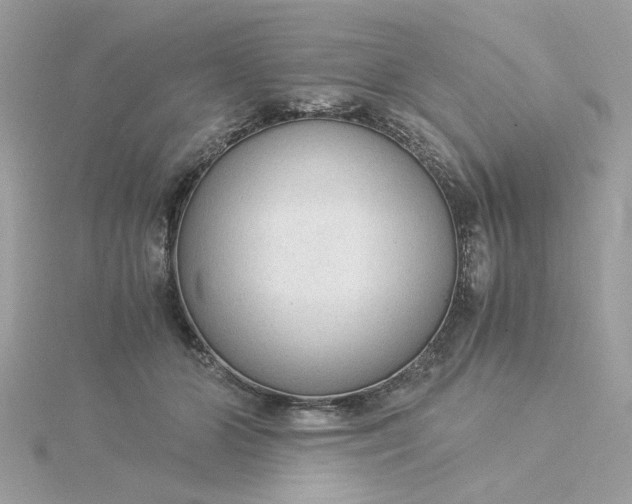 X0000116050510200912041836