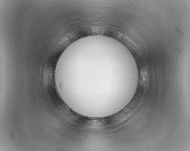 X0000116050522200912041835