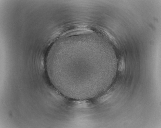 X0000116050524200912041835