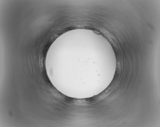 X0000116050525200912041835