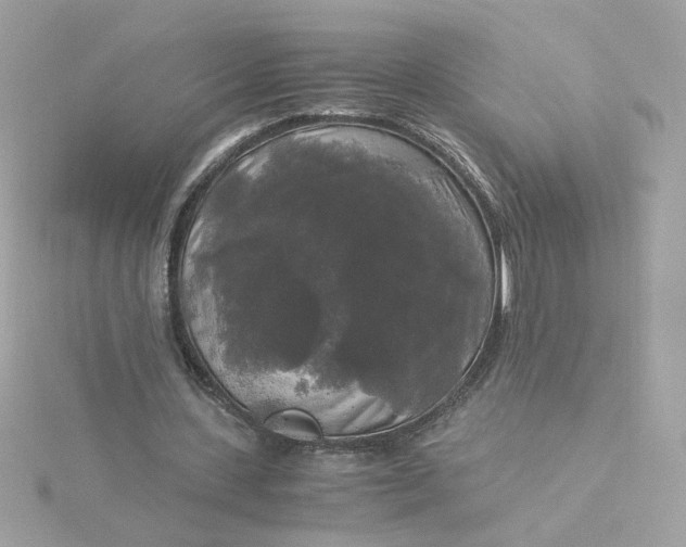 X0000116050531200912041835