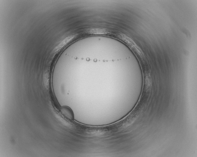 X0000116050533200912041835