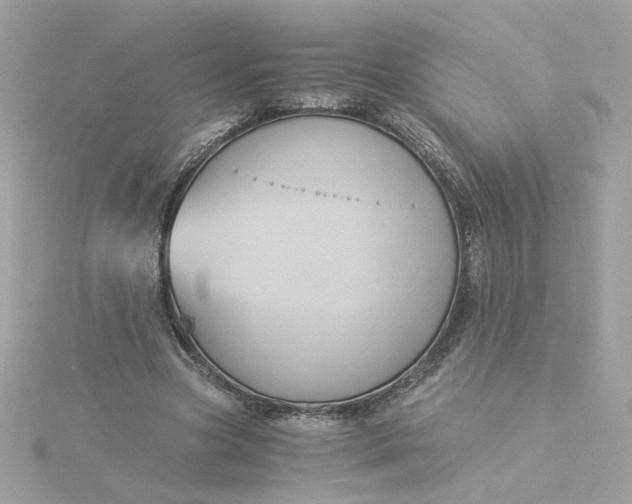 X0000116050537200912041835