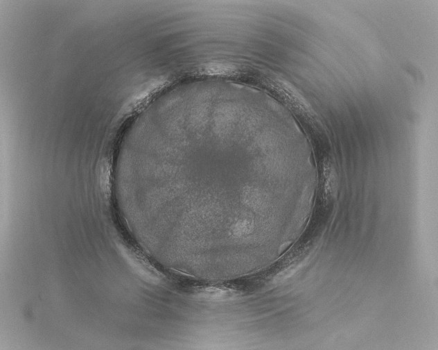 X0000116050542200912041835