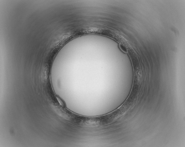 X0000116050546200912041835