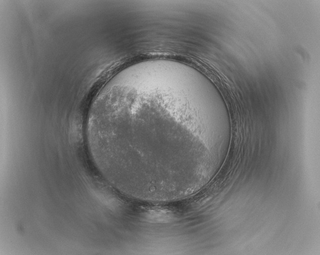 X0000116050547200912041835