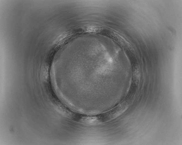 X0000116050554200912041835
