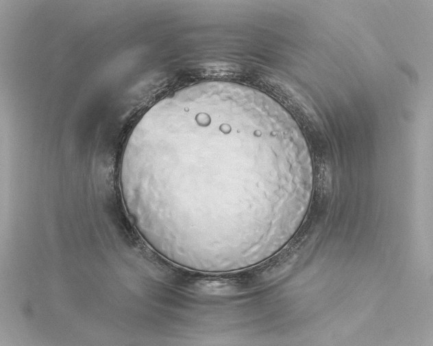 X0000116050557200912041835