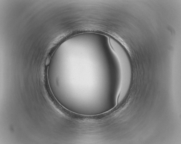 X0000116050581200912041835