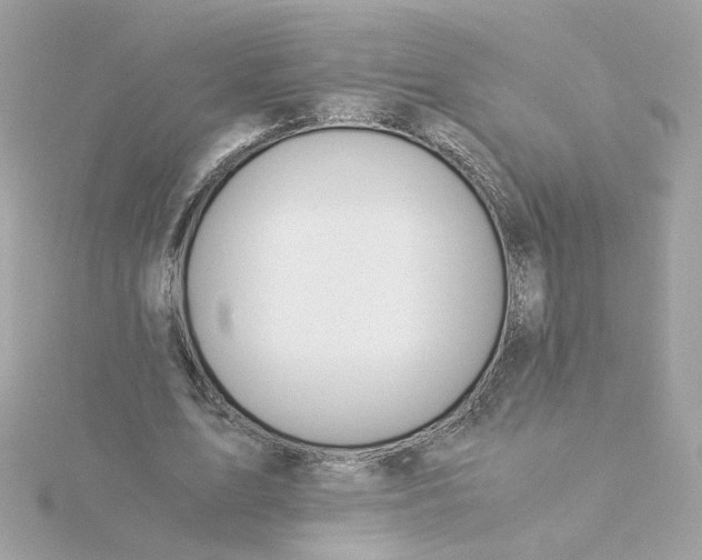 X0000116050583200912041835