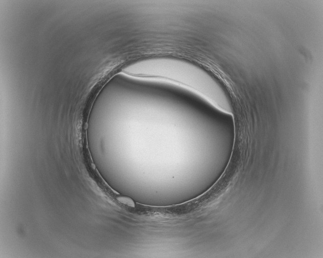 X0000116050585200912041835