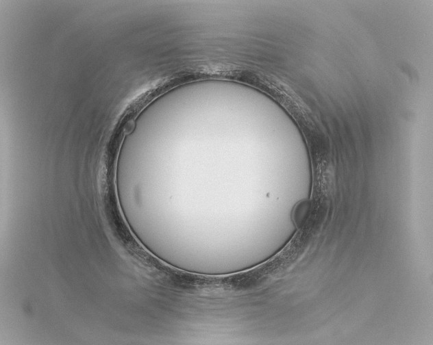 X0000116050587200912041835