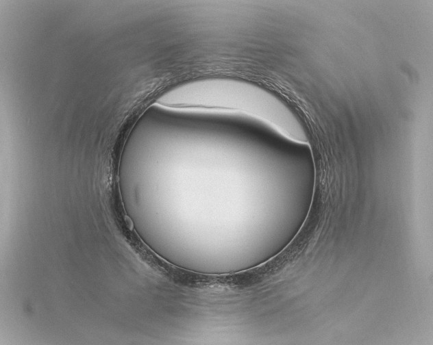 X0000116050593200912041835
