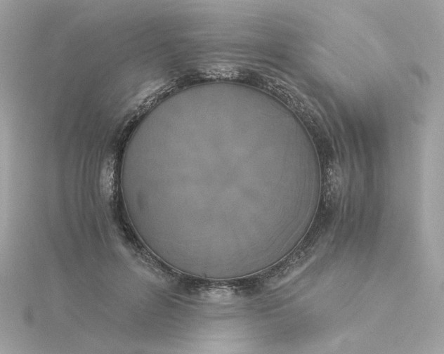 X0000116050600200912041834