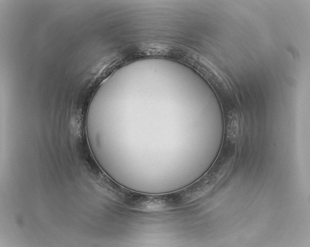 X0000116050604200912041834