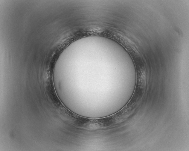 X0000116050608200912041834