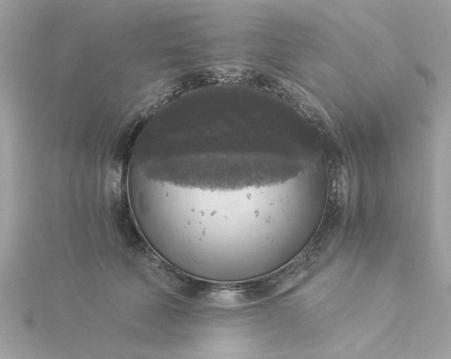 X0000116050610200912041834
