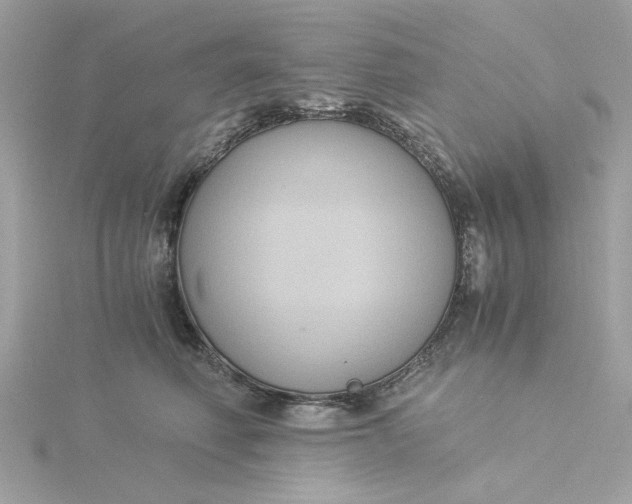 X0000116050614200912041834