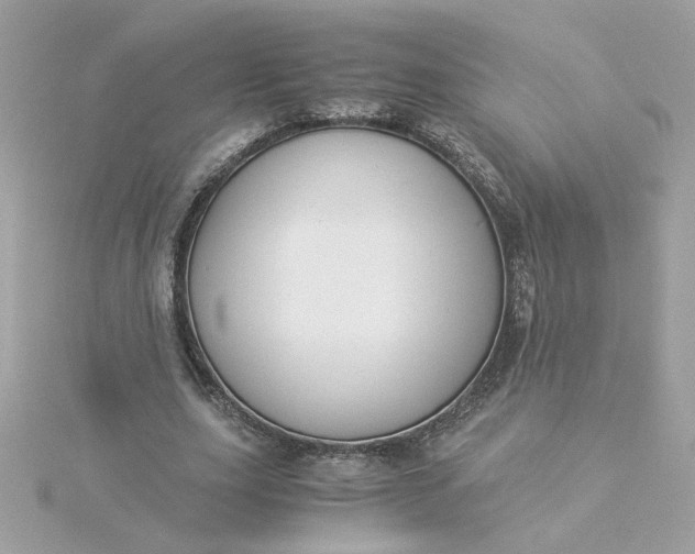 X0000116050631200912041834