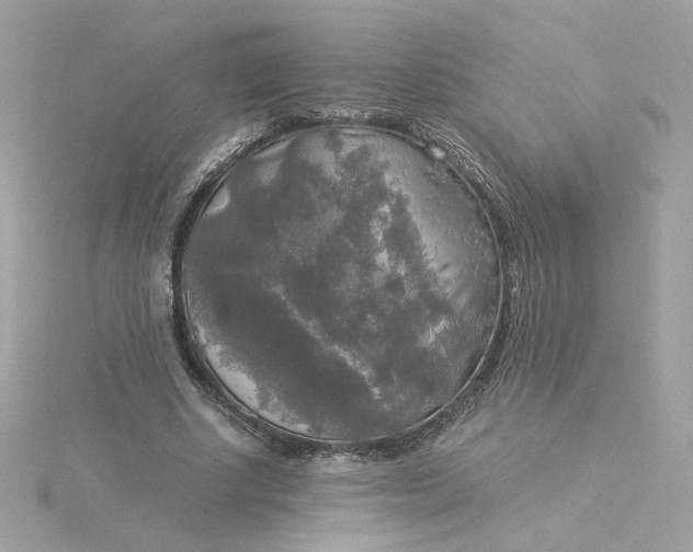 X0000116050634200912041834