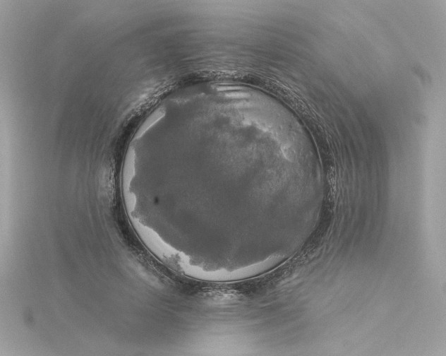 X0000116050642200912041834