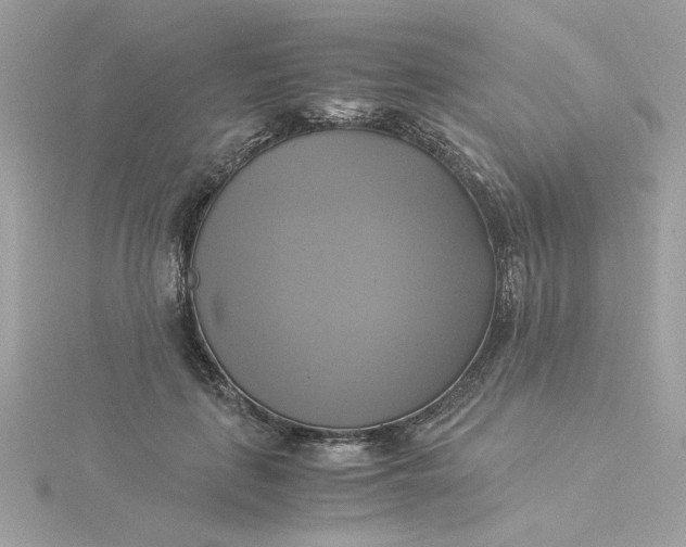 X0000116050651200912041834