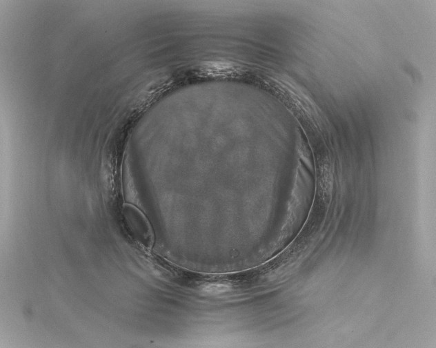 X0000116050653200912041834