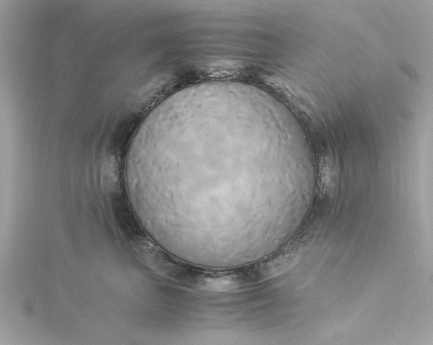 X0000116050667200912041834
